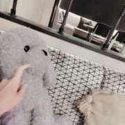 ヒメ日記 2025/08/18 07:19 投稿 心桜(こころ) PLUS十三店