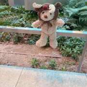 心桜(こころ) morning PLUS十三店