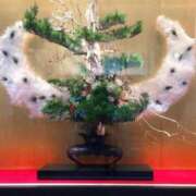 ヒメ日記 2025/12/26 07:18 投稿 心桜(こころ) PLUS十三店