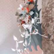 ヒメ日記 2026/02/07 07:18 投稿 心桜(こころ) PLUS十三店