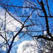 ヒメ日記 2026/03/31 07:08 投稿 心桜(こころ) PLUS十三店