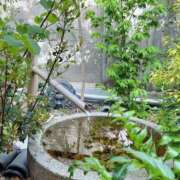 ヒメ日記 2026/04/16 07:18 投稿 心桜(こころ) PLUS十三店