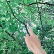 ヒメ日記 2026/04/18 07:18 投稿 心桜(こころ) PLUS十三店