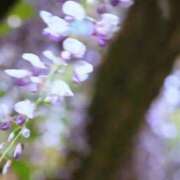 ヒメ日記 2026/05/01 07:08 投稿 心桜(こころ) PLUS十三店