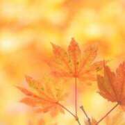 ヒメ日記 2025/01/20 19:23 投稿 かなこ 熟女の風俗最終章 八王子店