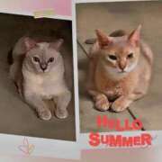 ヒメ日記 2025/08/02 22:32 投稿 かなこ 熟女の風俗最終章 八王子店