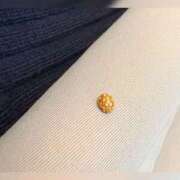 ヒメ日記 2025/11/17 13:56 投稿 かなこ 熟女の風俗最終章 八王子店