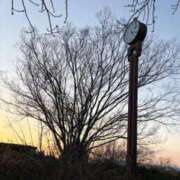 ヒメ日記 2026/02/23 14:35 投稿 かなこ 熟女の風俗最終章 八王子店