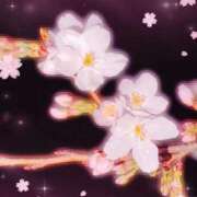 ヒメ日記 2026/03/24 01:53 投稿 かなこ 熟女の風俗最終章 八王子店