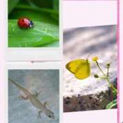 ヒメ日記 2026/03/27 17:37 投稿 かなこ 熟女の風俗最終章 八王子店