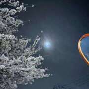 ヒメ日記 2026/03/31 23:23 投稿 かなこ 熟女の風俗最終章 八王子店