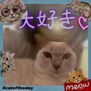 ヒメ日記 2024/12/29 15:33 投稿 かなこ 熟女の風俗最終章 所沢店