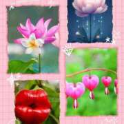 ヒメ日記 2025/03/01 20:33 投稿 かなこ 熟女の風俗最終章 所沢店