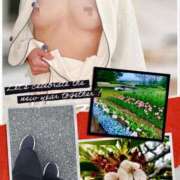 ヒメ日記 2025/04/22 22:13 投稿 かなこ 熟女の風俗最終章 所沢店