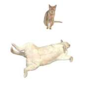 ヒメ日記 2025/06/23 00:23 投稿 かなこ 熟女の風俗最終章 所沢店