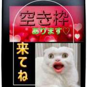 ヒメ日記 2025/07/08 12:36 投稿 かなこ 熟女の風俗最終章 所沢店