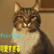 ヒメ日記 2025/08/12 23:33 投稿 かなこ 熟女の風俗最終章 所沢店