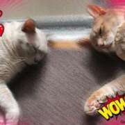 ヒメ日記 2025/01/23 15:23 投稿 かなこ 熟女の風俗最終章 立川店