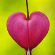 ヒメ日記 2025/03/01 20:53 投稿 かなこ 熟女の風俗最終章 立川店