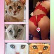 ヒメ日記 2025/03/13 21:23 投稿 かなこ 熟女の風俗最終章 立川店