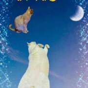 ヒメ日記 2025/09/10 00:13 投稿 かなこ 熟女の風俗最終章 立川店