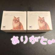 ヒメ日記 2025/03/13 10:24 投稿 苺（いちご） ビッグバード