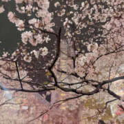 ヒメ日記 2025/04/07 21:00 投稿 りお 奥鉄オクテツ神奈川店（デリヘル市場グループ）