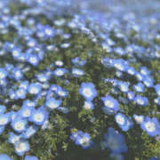 ヒメ日記 2025/04/22 23:40 投稿 りお 奥鉄オクテツ神奈川店（デリヘル市場グループ）