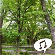 ヒメ日記 2025/05/05 13:34 投稿 清川ことみ キュア＆マジック