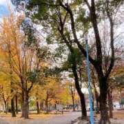 ヒメ日記 2025/12/03 17:48 投稿 清川ことみ キュア＆マジック