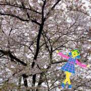 ヒメ日記 2026/04/07 16:02 投稿 清川ことみ キュア＆マジック