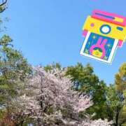 ヒメ日記 2026/04/08 15:03 投稿 清川ことみ キュア＆マジック