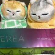 ヒメ日記 2025/02/23 07:53 投稿 りず フォーチュン