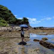 ヒメ日記 2025/07/11 14:35 投稿 りず フォーチュン