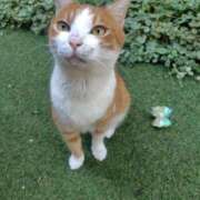 ヒメ日記 2025/09/29 22:26 投稿 りず フォーチュン