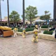 ヒメ日記 2025/10/19 23:28 投稿 りず フォーチュン