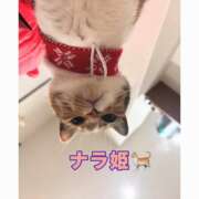 ヒメ日記 2025/01/07 21:34 投稿 特プレミアここ【最高峰の人気嬢】 LIPS(リップス)