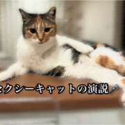 ヒメ日記 2025/01/10 22:24 投稿 特プレミアここ【最高峰の人気嬢】 LIPS(リップス)