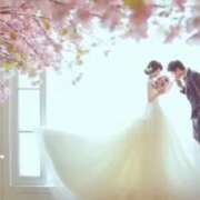 ヒメ日記 2025/04/01 18:33 投稿 特プレミアここ【最高峰の人気嬢】 LIPS(リップス)