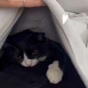 ヒメ日記 2025/04/26 13:20 投稿 特プレミアここ【最高峰の人気嬢】 LIPS(リップス)