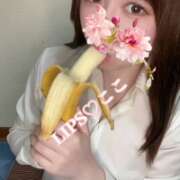 ヒメ日記 2025/07/26 15:08 投稿 特プレミアここ【最高峰の人気嬢】 LIPS(リップス)