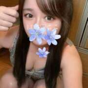 ヒメ日記 2025/10/10 12:10 投稿 特プレミアここ【最高峰の人気嬢】 LIPS(リップス)