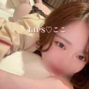 ヒメ日記 2025/12/03 11:47 投稿 特プレミアここ【最高峰の人気嬢】 LIPS(リップス)