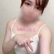 ヒメ日記 2025/12/16 20:26 投稿 特プレミアここ【最高峰の人気嬢】 LIPS(リップス)