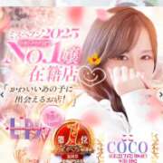 ヒメ日記 2026/04/11 21:20 投稿 特プレミアここ【最高峰の人気嬢】 LIPS(リップス)