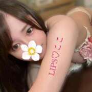 ヒメ日記 2026/08/16 00:58 投稿 特プレミアここ【最高峰の人気嬢】 LIPS(リップス)
