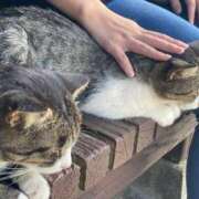 ヒメ日記 2025/01/09 22:55 投稿 シホ EN