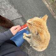 ヒメ日記 2025/04/23 15:57 投稿 シホ EN