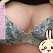 ヒメ日記 2024/12/20 15:20 投稿 杏珠-あんじゅ【FG系列】 ほんとうの人妻　柏店