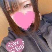 ヒメ日記 2025/02/04 09:54 投稿 杏珠-あんじゅ【FG系列】 ほんとうの人妻　柏店